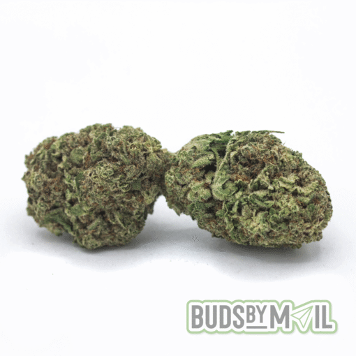 Cherry Pie (AAAA)