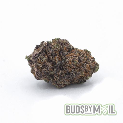 Lady Boss (AAAA) - Image 2