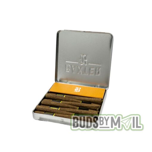 BAXTER Premium All-Flower Blunts (7 Blunts Total 1/8 Oz)