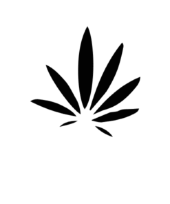 Sativa