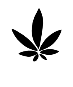Indica