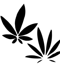 Hybrid