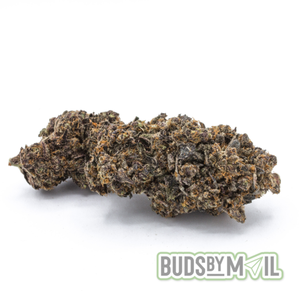 Biscotti (Premium)