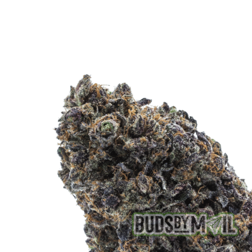 Biscotti (Premium) - Image 3
