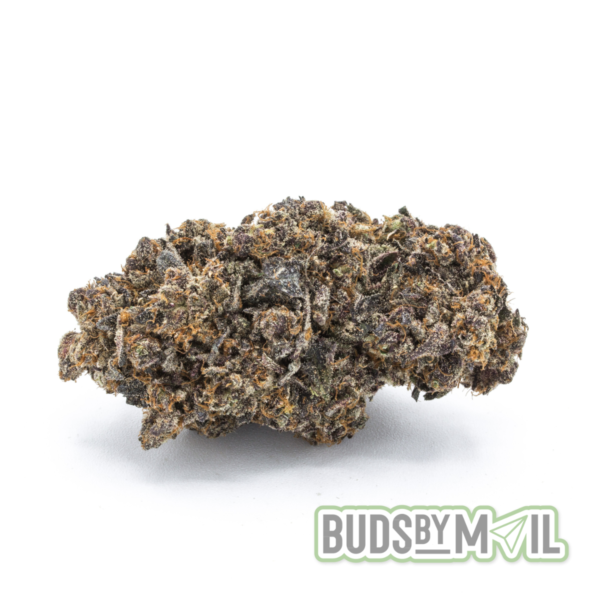 Biscotti (Premium) - Image 2