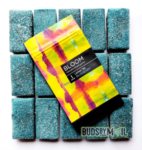 Bloom – Lemon Tek Psilocybin Gummy - Blueberry Lemon (1000mg)