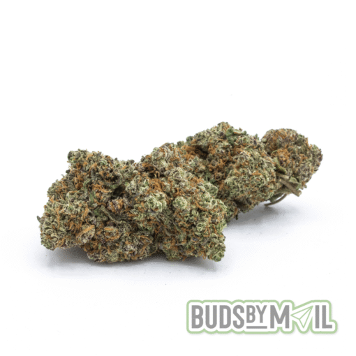 Blackberry Punch