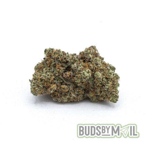 Blackberry Punch - Image 2