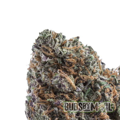 Blackberry Punch - Image 3
