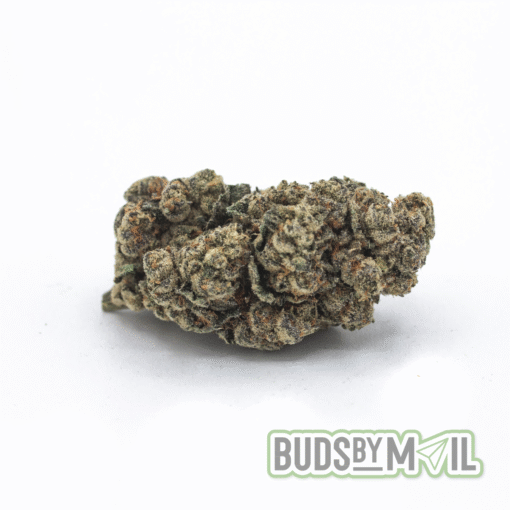 Chocolope - Image 2