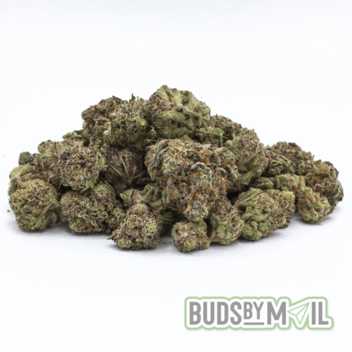 Purple Punch - (Popcorn)