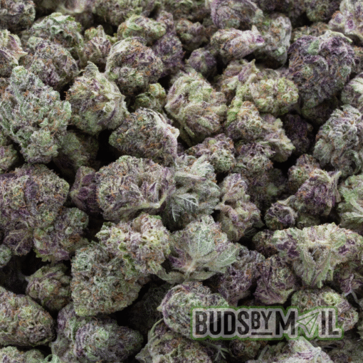 Purple Punch - (Popcorn) - Image 2