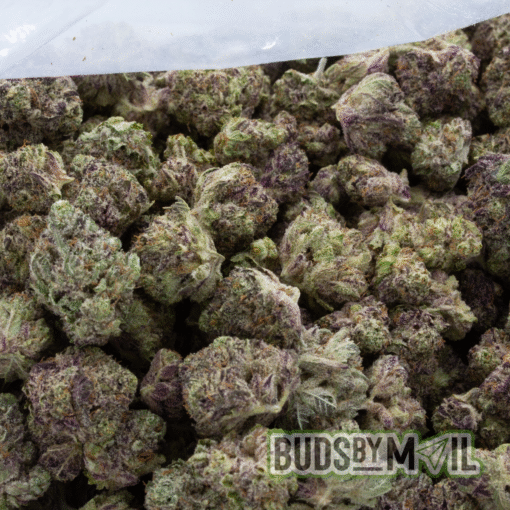 Purple Punch - (Popcorn) - Image 3