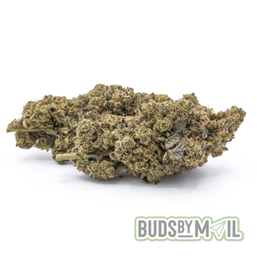 Meyer OG