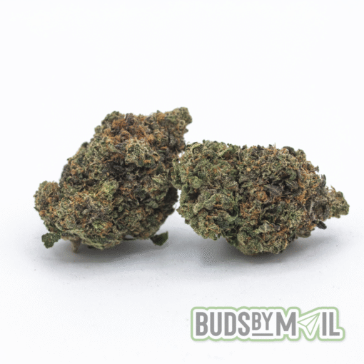 Rockstar (The Gas 🔥)