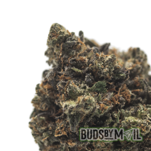 Rockstar (The Gas 🔥) - Image 2