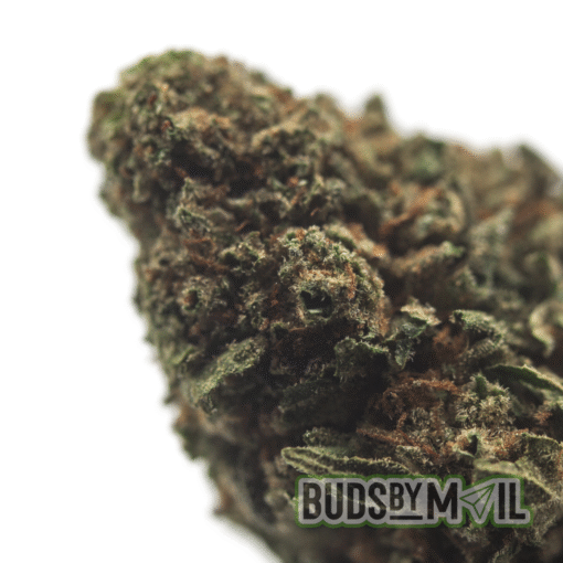 Sour Chem - Image 2