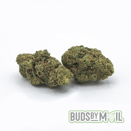 Thin Mint (The Gas 🔥) - Smalls