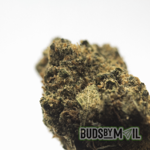 Lemon Kush - Image 2