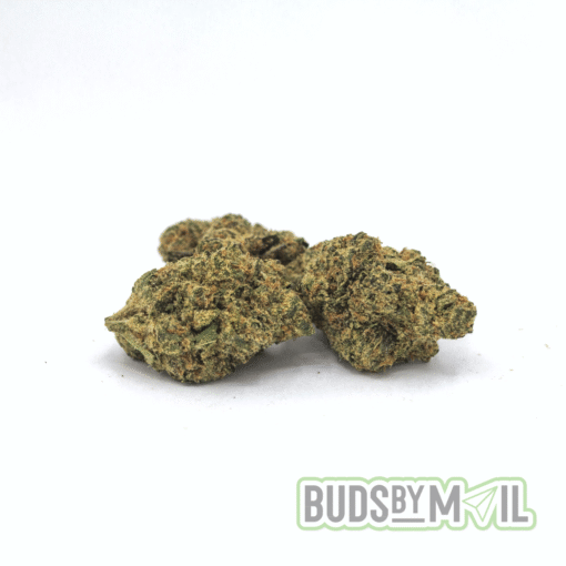 Lemon Kush