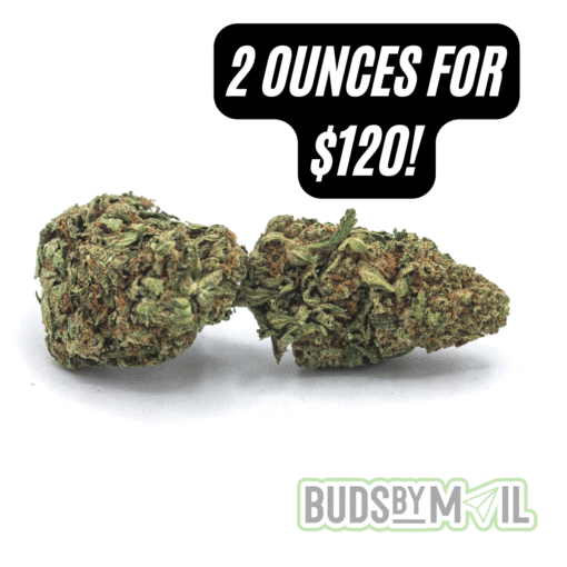Sour Chem