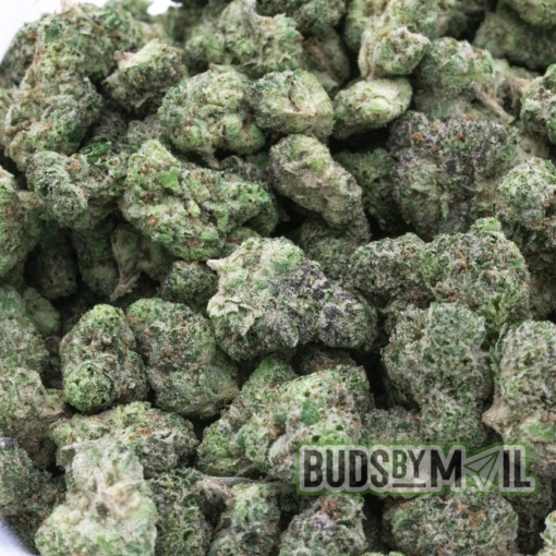 Skywalker OG LSO - Figgly's Farm - Smalls - Image 3