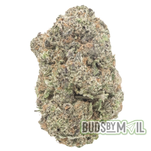 Blueberry (AAAA) - Image 2