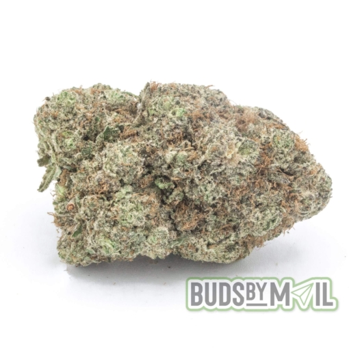 Blueberry (AAAA)