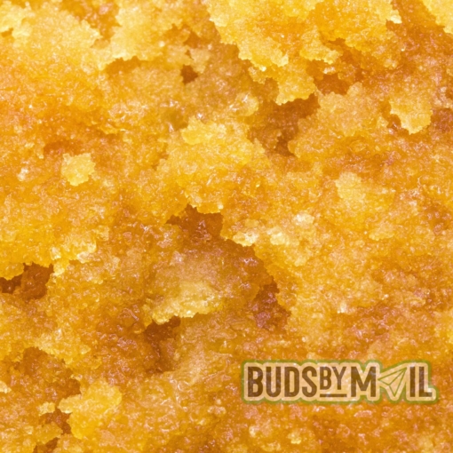 Happy Guy Extracts - Live Resin - Gorilla Glue #4