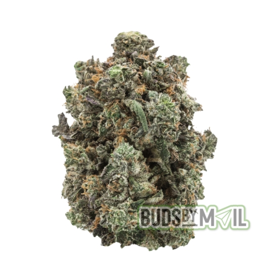 Platinum Pink – Figgly’s Farm – (The Gas 🔥) (AAA) - Image 2