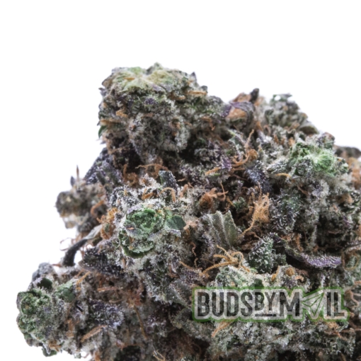 Platinum Pink – Figgly’s Farm – (The Gas 🔥) (AAA) - Image 4