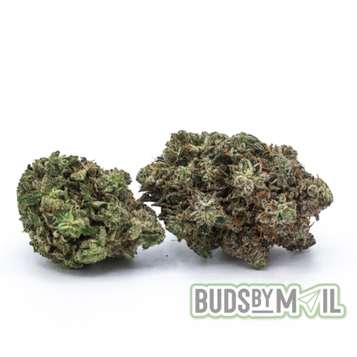 Platinum Pink – Figgly’s Farm – (The Gas 🔥) (AAA) - Image 3