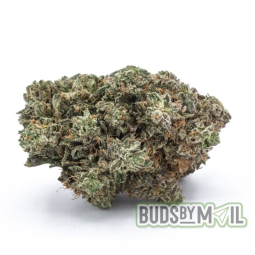 Platinum Pink – Figgly’s Farm – (The Gas 🔥) (AAA)