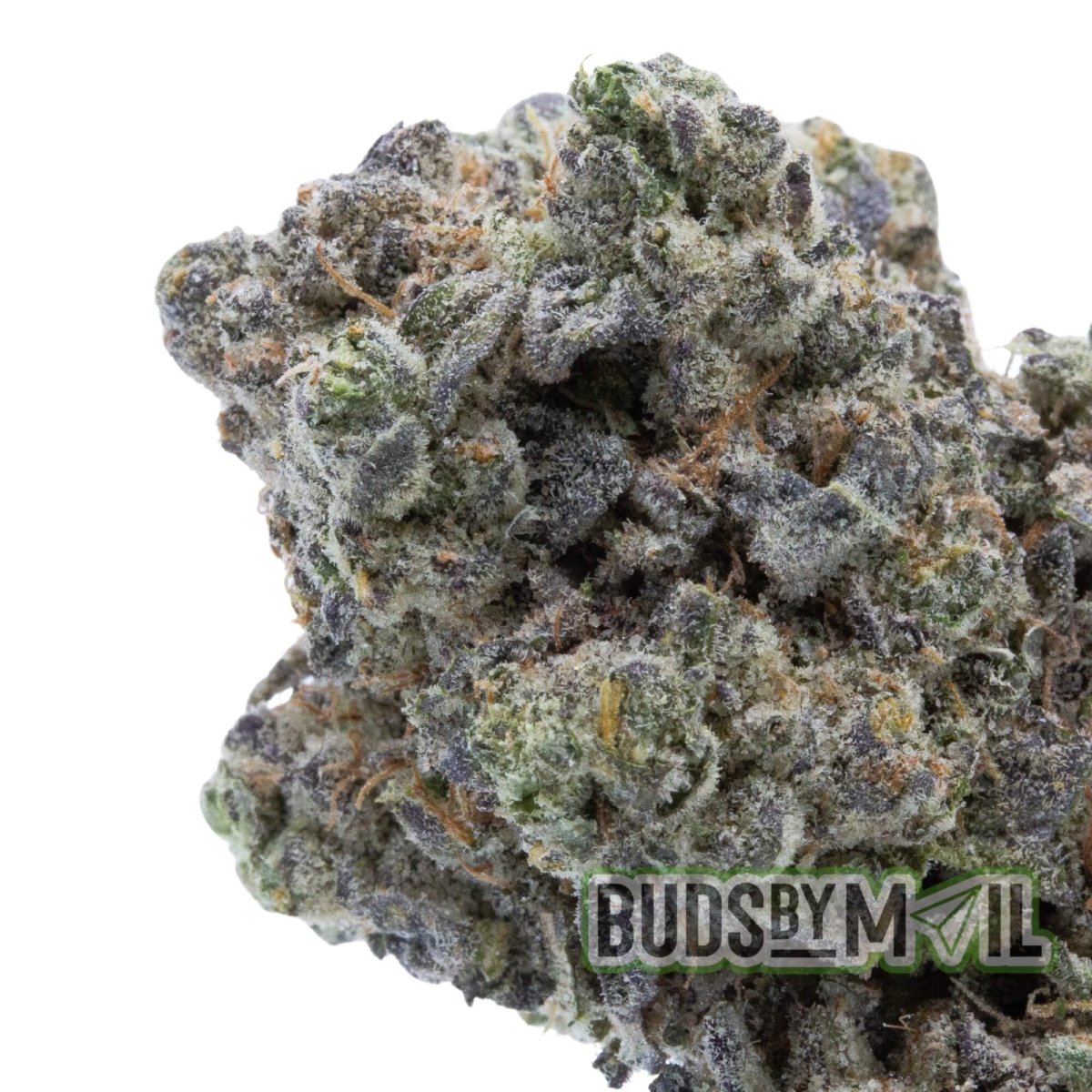 Quadriga FX - LSO – Figgly’s Farm - (The Gas 🔥) (Premium) - Image 2