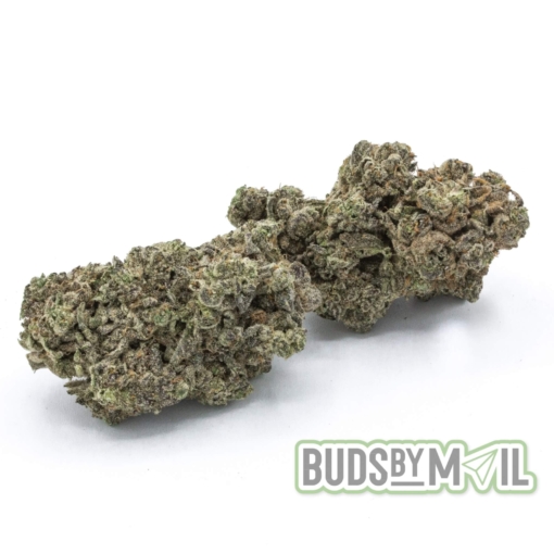 Quadriga FX - LSO – Figgly’s Farm - (The Gas 🔥) (Premium) - Image 3