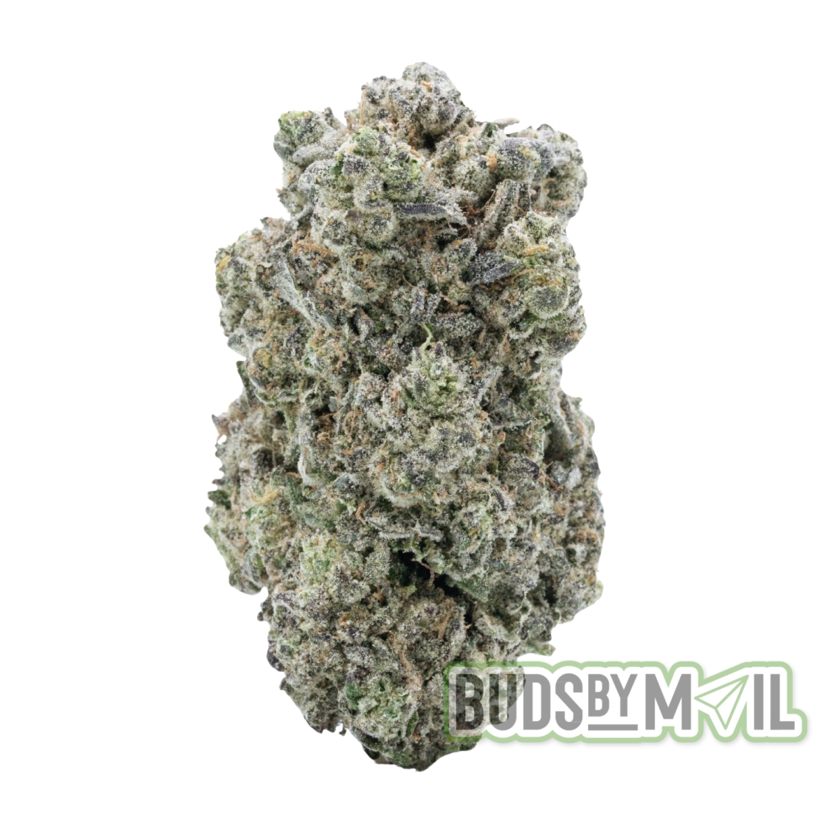 Quadriga FX - LSO – Figgly’s Farm - (The Gas 🔥) (Premium)