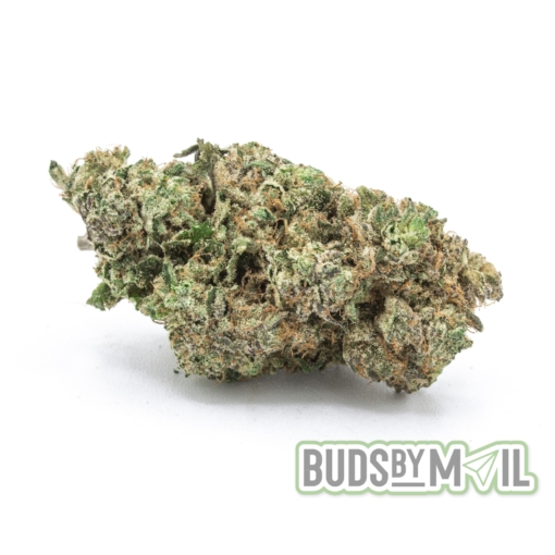 Bubba Kush - Figgly's Farm - (The Gas 🔥)