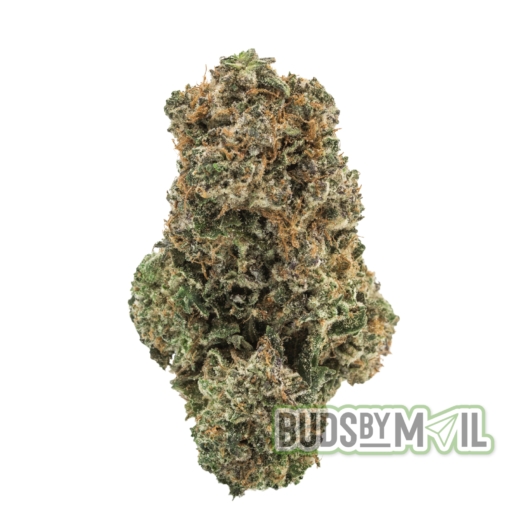 Bubba Kush - Figgly's Farm - (The Gas 🔥) - Image 4
