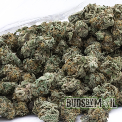 Donkey Butter - Smalls - Image 2