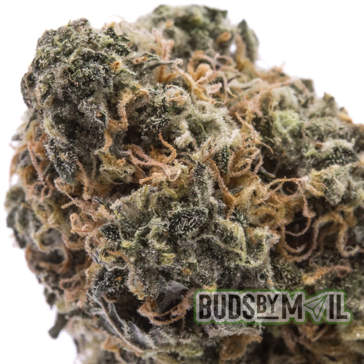 Jet Fuel LSO – Figgly’s Farm (AAA) - Image 3