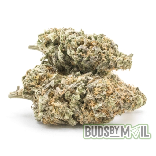Gorilla Butter – Figgly’s Farm (AAAA)