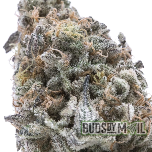 Gorilla Butter – Figgly’s Farm (AAAA) - Image 3