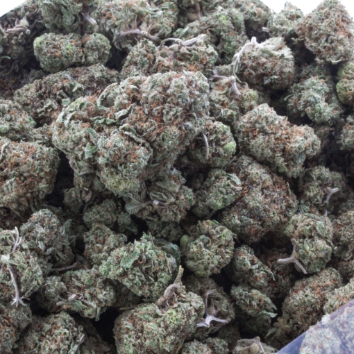 Gorilla Cookies (AAAA) - Image 2