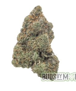 Gummy Buns - LSO - Figgly's Farm (AAAA)