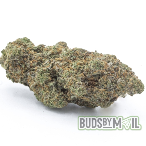 Gummy Buns -(AAA) - Image 2