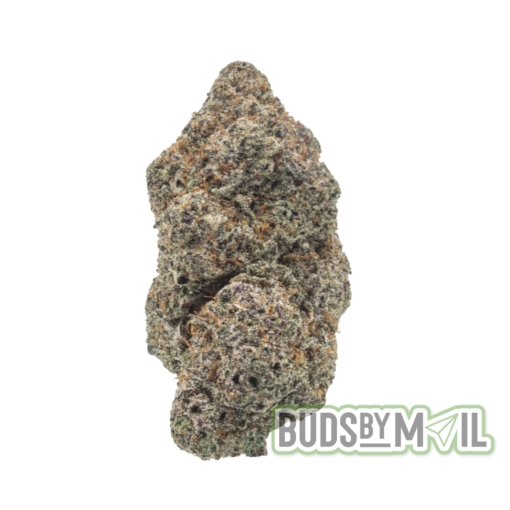 Strawberry Gary - LSO - Figgly's Farm (AAAA)