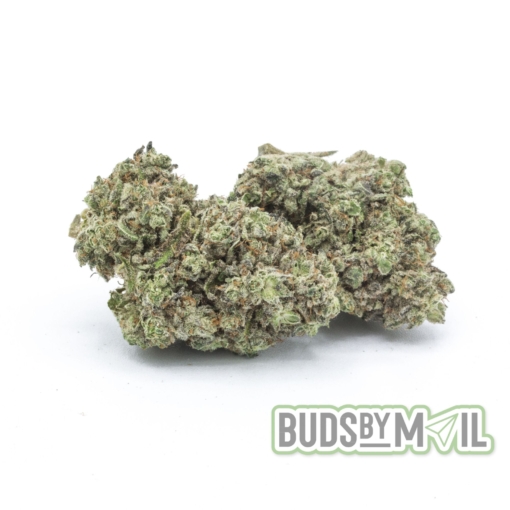 Khalifa Mints - LSO - Figgly's Farm (AAAA)