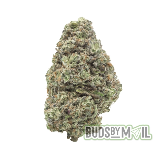 Khalifa Mints - LSO - Figgly's Farm (AAAA) - Image 3