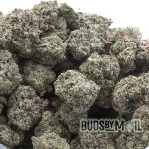 Khalifa Mints - LSO - Figgly's Farm (AAAA) - Image 4