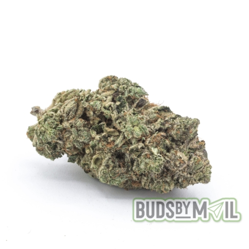 MK Ultra (AAAA)